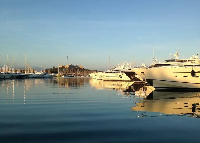 Vieil Cosy Close Everything *